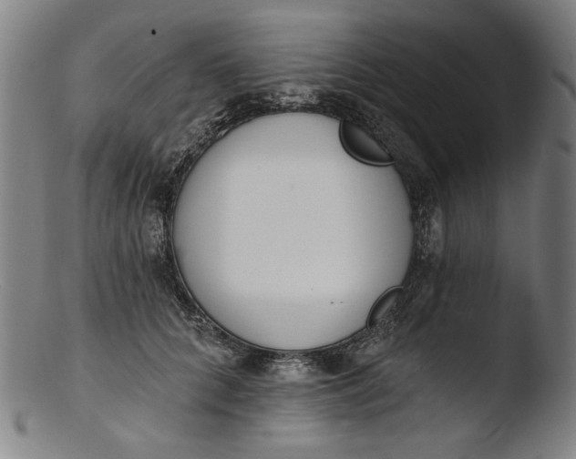 X0000103400704200809261619