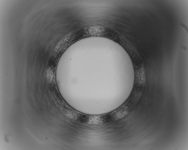 X0000103400705200809261619