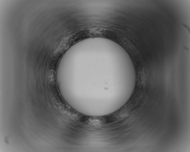 X0000103400706200809261619