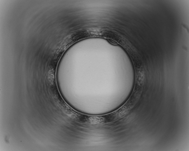 X0000103400707200809261619