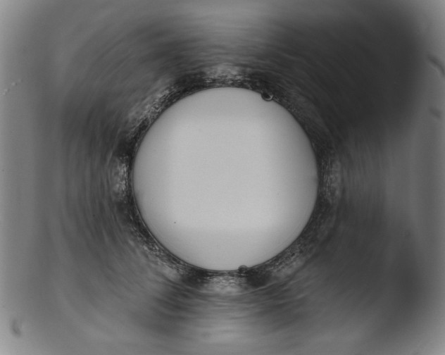 X0000103400708200809261619