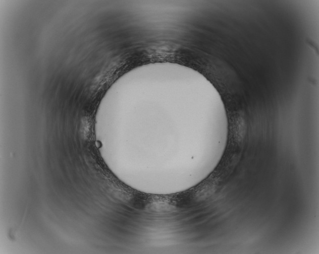 X0000103400709200809261619