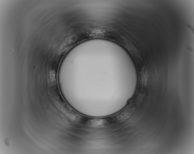 X0000103400711200809261619