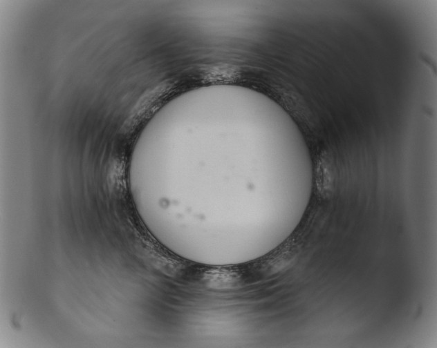 X0000103400714200809261619