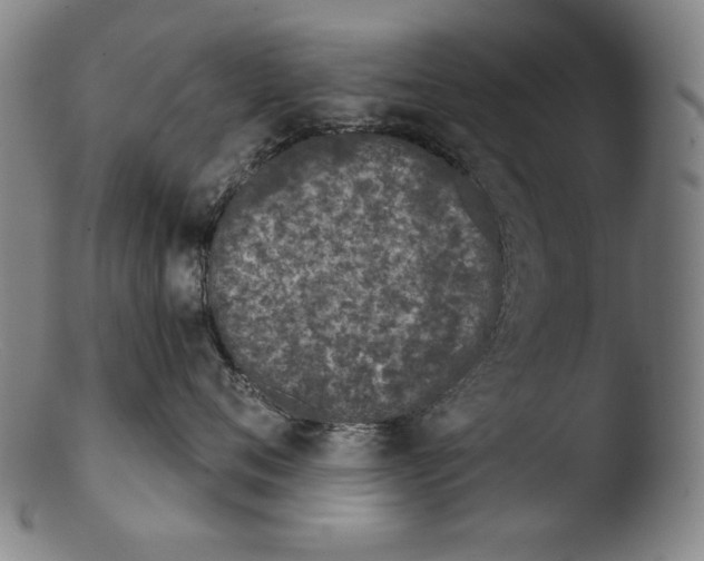 X0000103400720200809261619