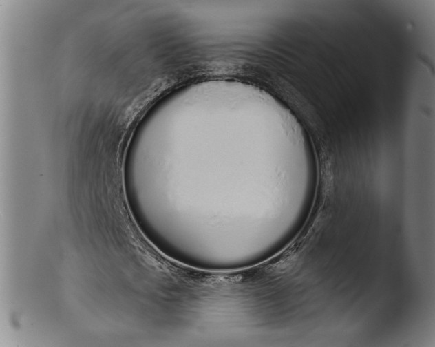 X0000103400721200809261619