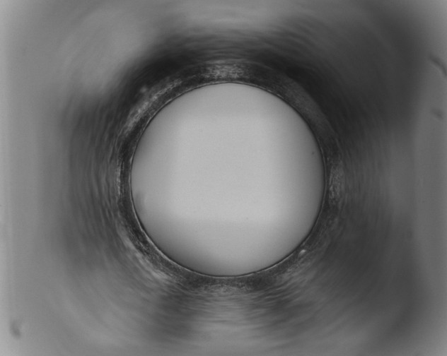 X0000103400722200809261619