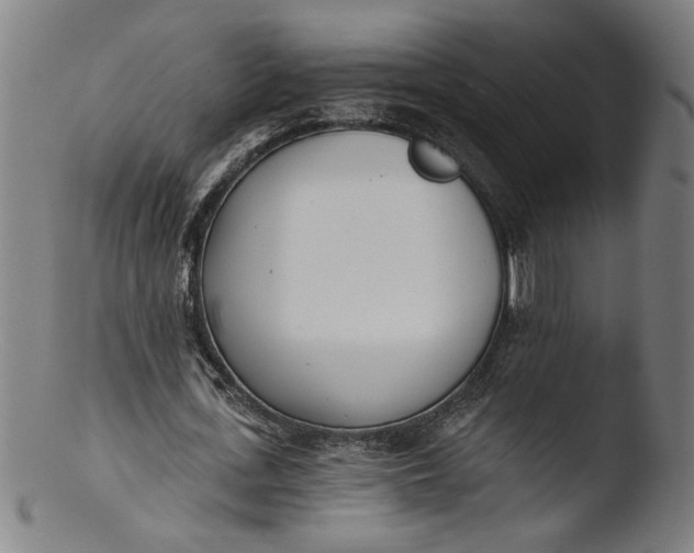 X0000103400723200809261619