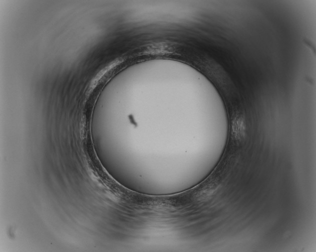 X0000103400724200809261619