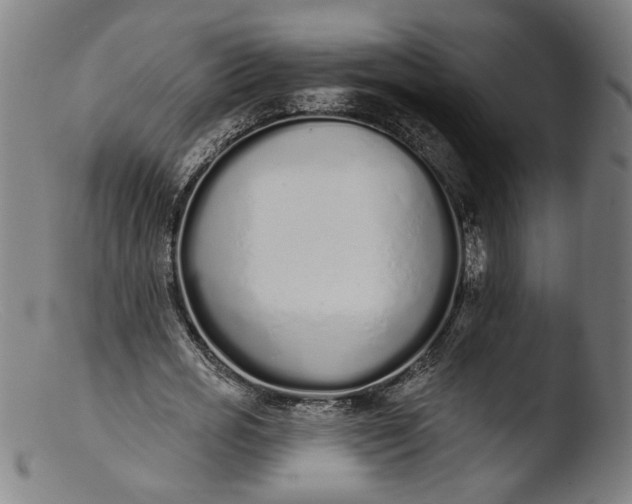 X0000103400725200809261619