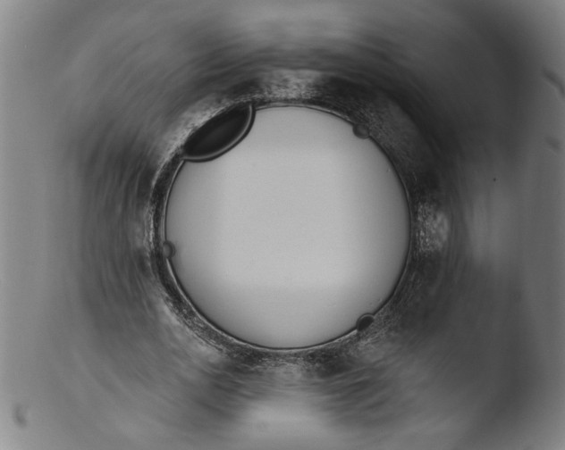 X0000103400726200809261619