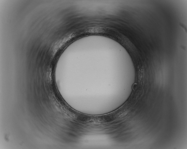 X0000103400727200809261619