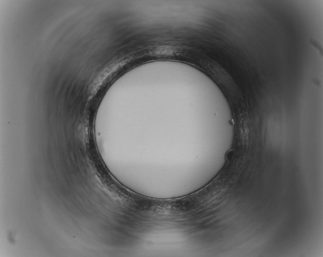 X0000103400728200809261619