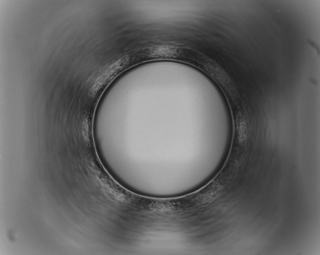 X0000103400729200809261619