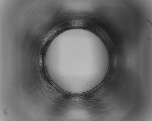 X0000103400731200809261619