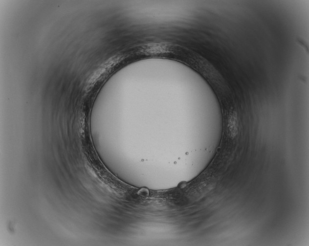 X0000103400732200809261619