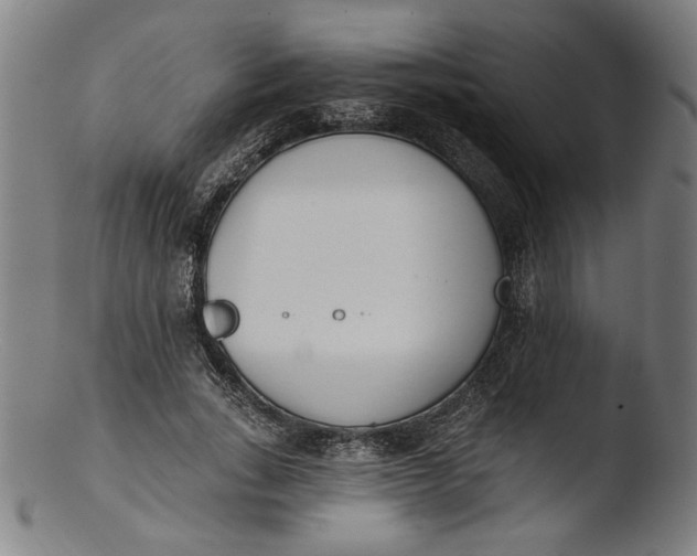 X0000103400735200809261619