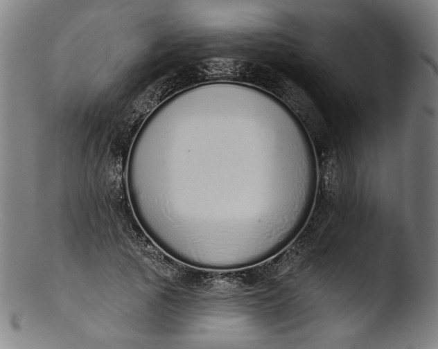 X0000103400737200809261619