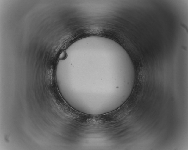 X0000103400739200809261619