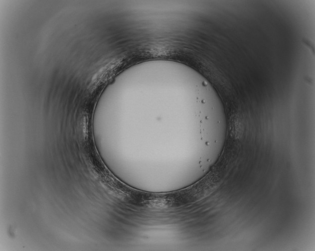 X0000103400740200809261619