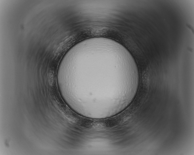 X0000103400741200809261619