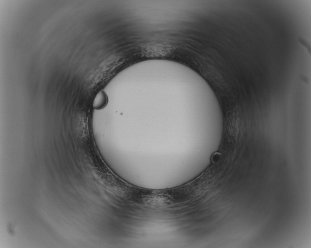 X0000103400743200809261619