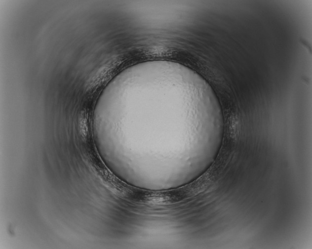 X0000103400746200809261619