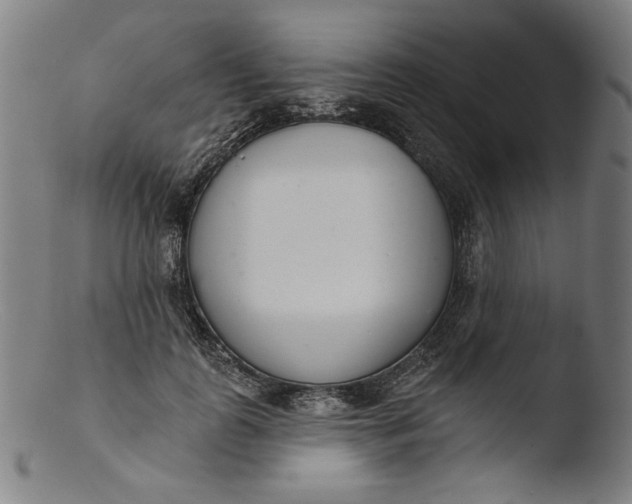 X0000103400747200809261619