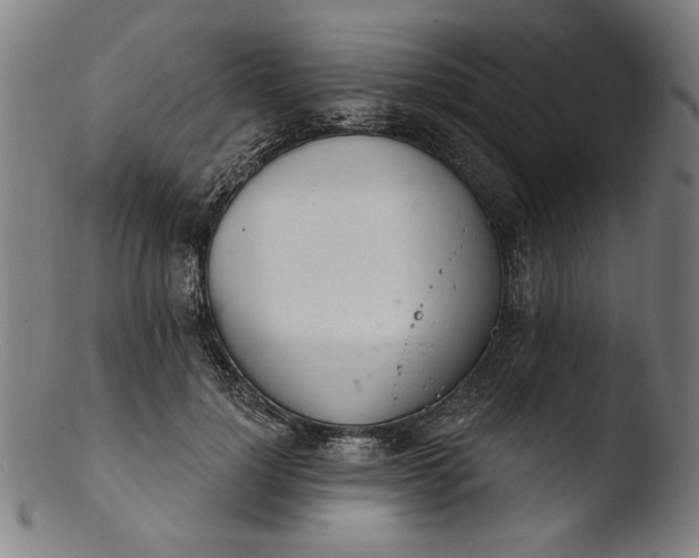 X0000103400748200809261619