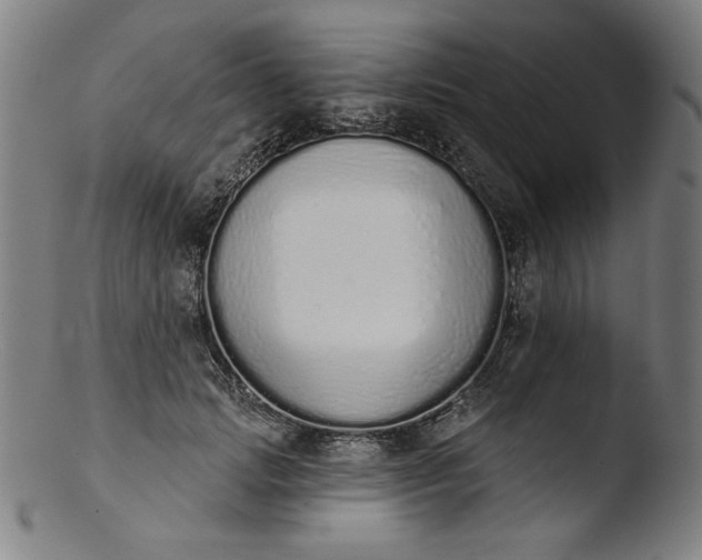 X0000103400749200809261619