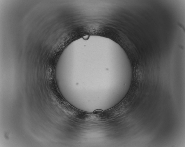 X0000103400750200809261619