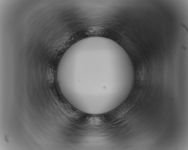 X0000103400751200809261619