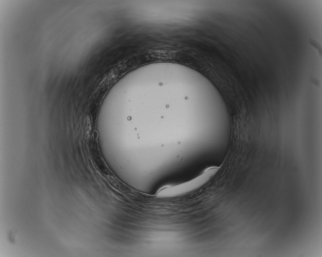 X0000103400752200809261619