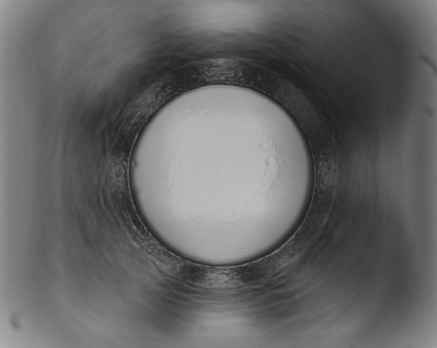 X0000103400753200809261619