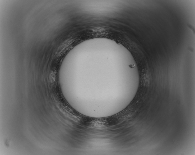 X0000103400756200809261619