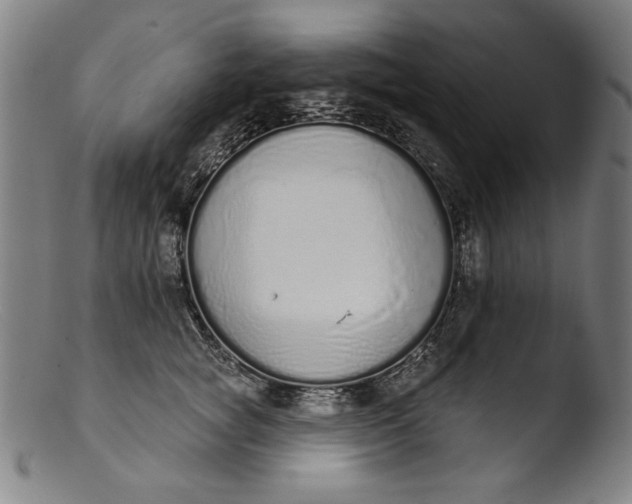 X0000103400757200809261619