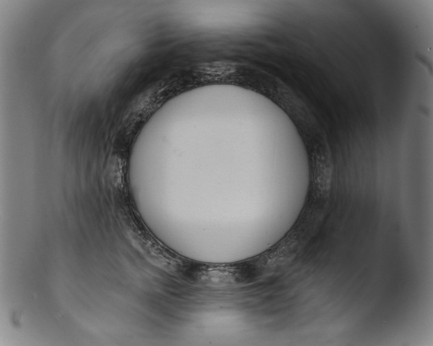 X0000103400758200809261619