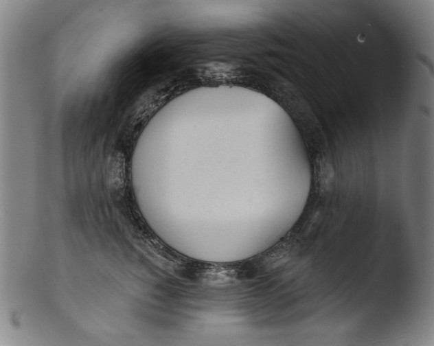 X0000103400760200809261619