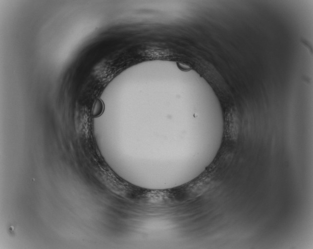 X0000103400762200809261619