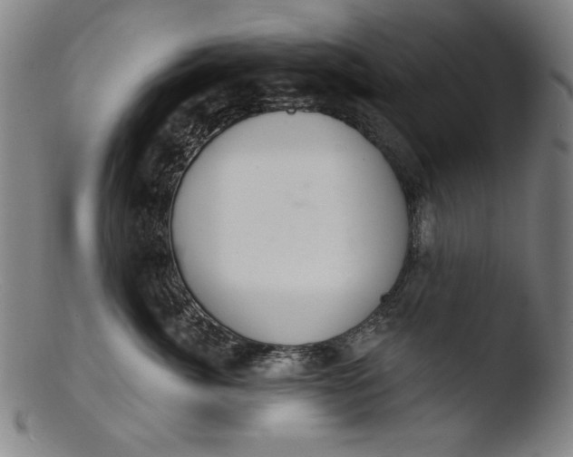 X0000103400764200809261619