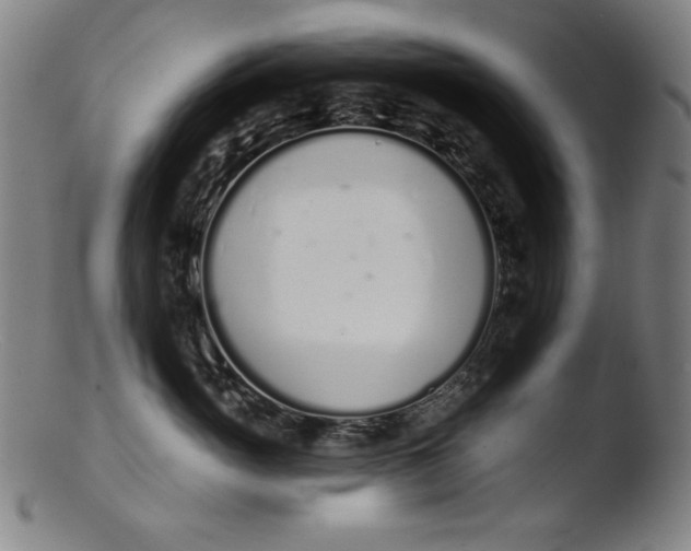 X0000103400765200809261619