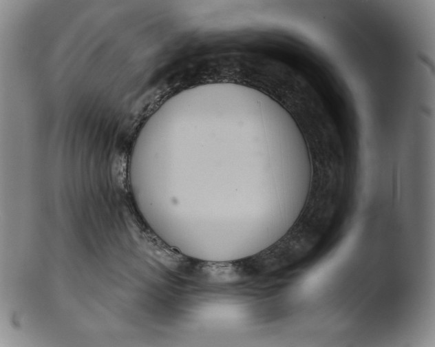 X0000103400767200809261619