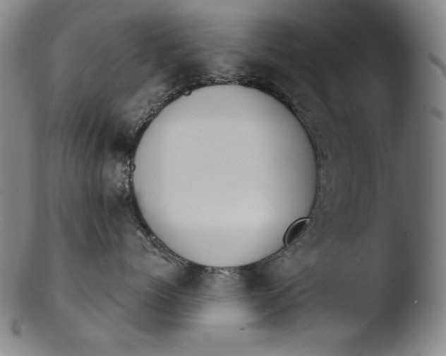 X0000103400768200809261619