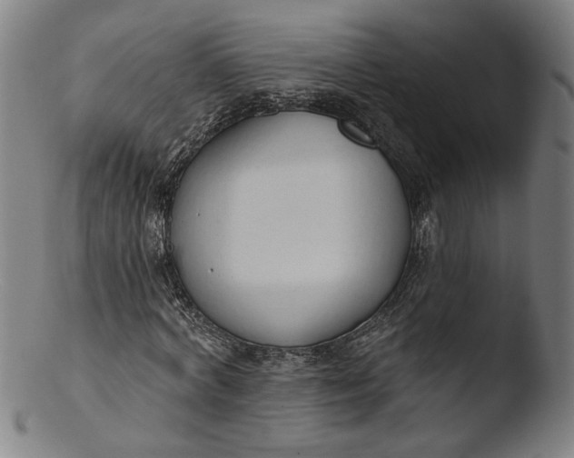 X0000103400772200809261619