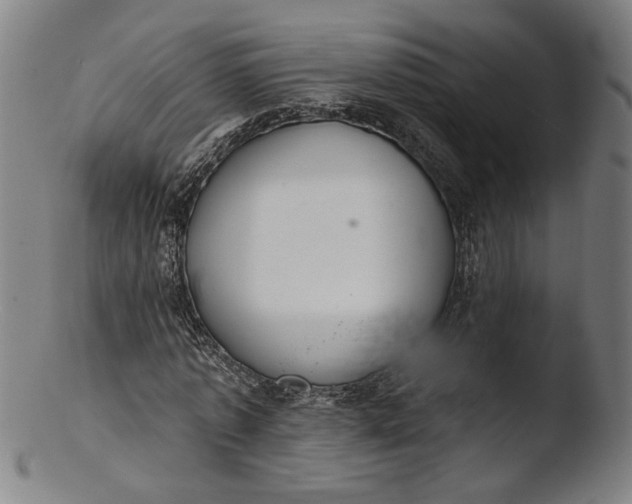 X0000103400773200809261619