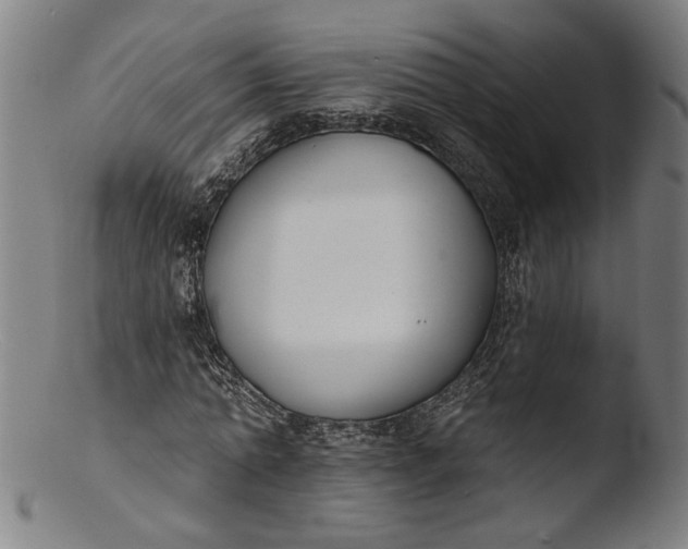 X0000103400774200809261619