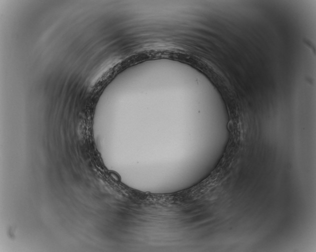 X0000103400775200809261618