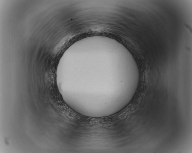 X0000103400776200809261618