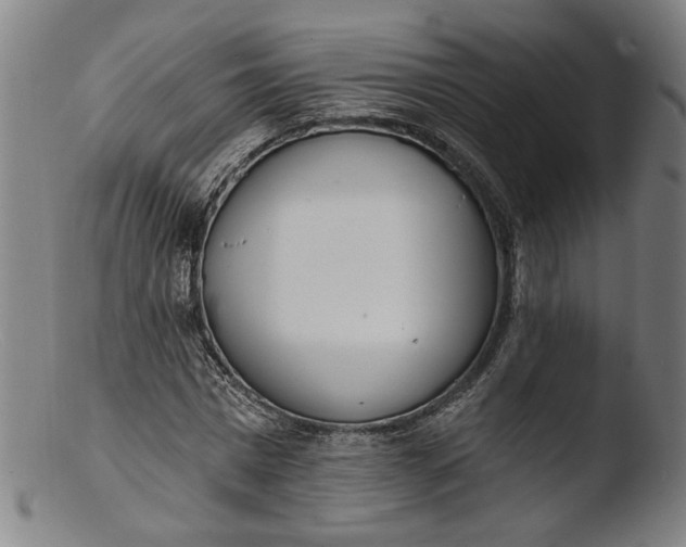 X0000103400777200809261618