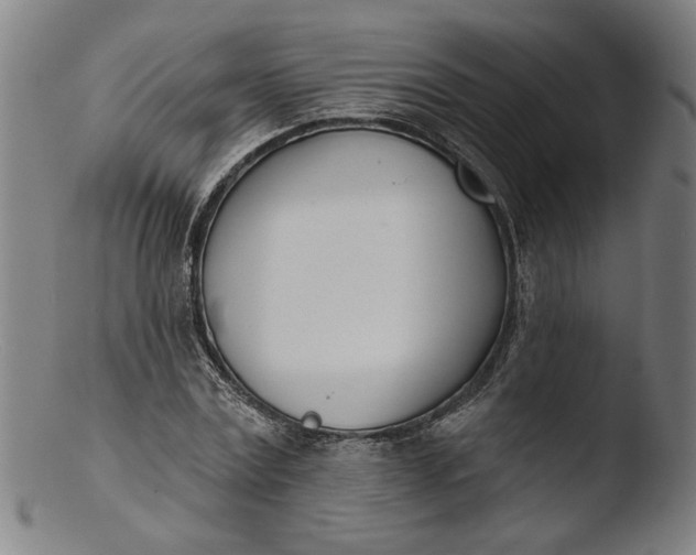 X0000103400779200809261618